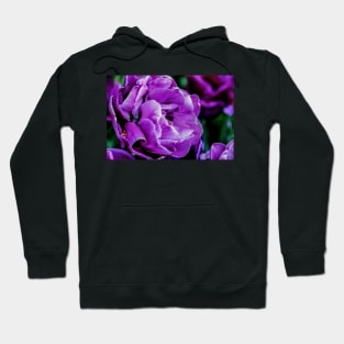 tulips Hoodie